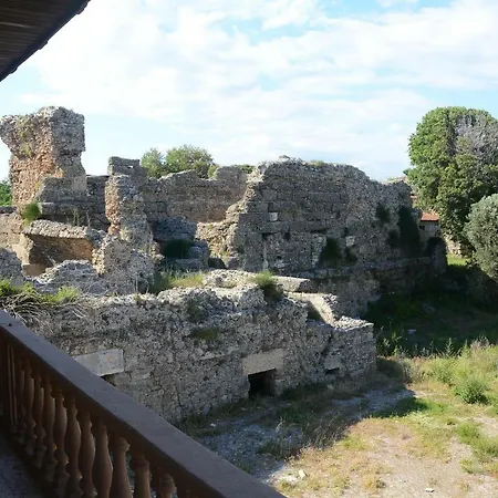 Yildiz1 モーテル シダ